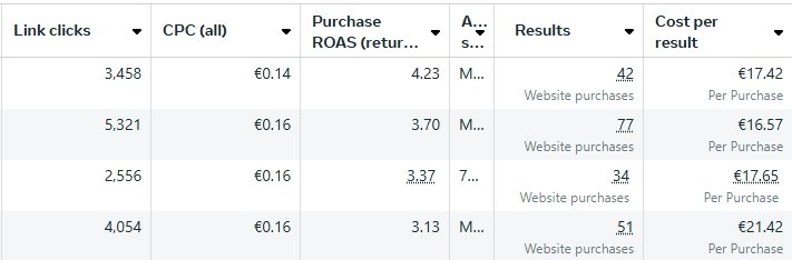 Facebook Ads rezultatai - E-commerce kampanija