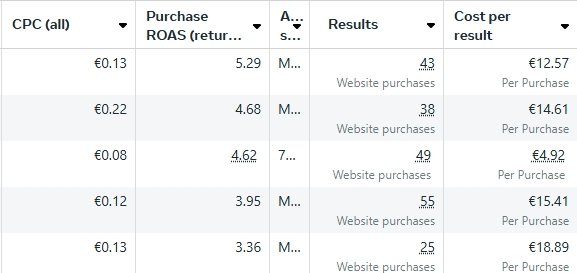 Facebook Ads rezultatai - E-commerce kampanija